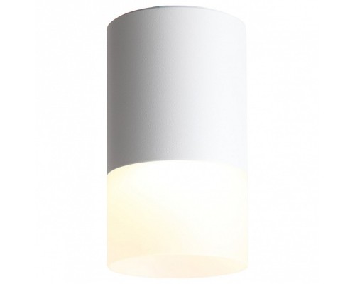 Накладной светильник ST-Luce Ottu