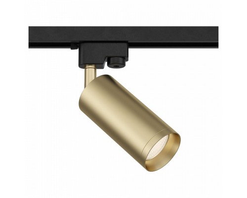 Светильник на штанге Maytoni Track lamps 2 TR004-1-GU10-MG