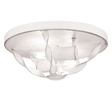 Накладной светильник Quoizel Bradbury QZ-BRADBURY-F-AWH