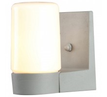 Светильник на штанге Arte Lamp Spasso A8058AL-1GY