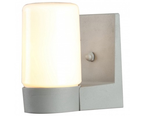 Светильник на штанге Arte Lamp Spasso A8058AL-1GY