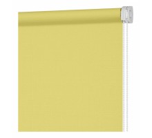 Штора рулонная (60x160 см) Апилера