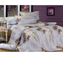 Постельное белье евростандарт B-89