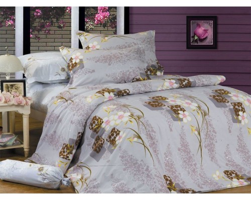 Постельное белье евростандарт B-89