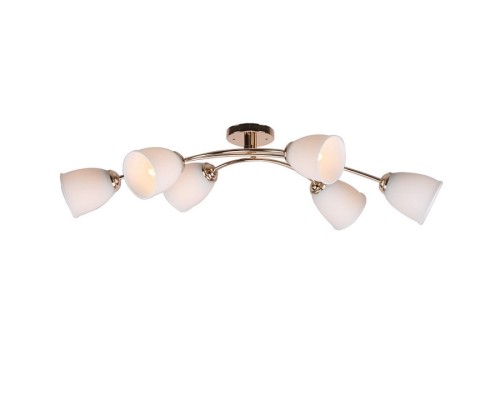 Потолочная люстра Imex MD.0537 MD.0537-6-S FGD