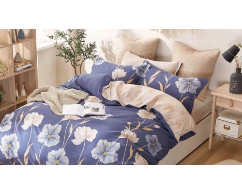 Постельное белье евростандарт C-309