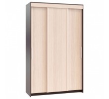 Шкаф-купе ШР-156.3