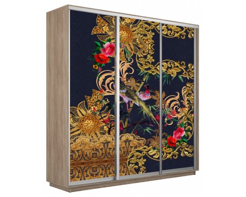 Шкаф-купе Экспресс Фото трио 1013 2100x450x2400