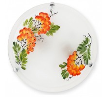 Накладной светильник TopLight Pirolf TL9351Y-02WH