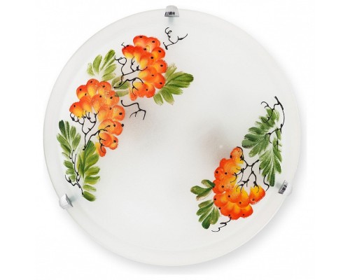 Накладной светильник TopLight Pirolf TL9351Y-02WH