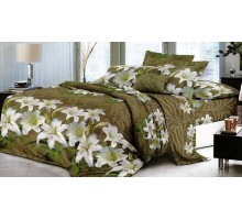 Постельное белье евростандарт Вальтери SF-58