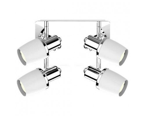 Спот Zumaline Poso CK180610-4