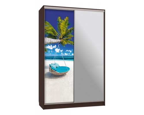 Шкаф-купе Рио 9-600 77