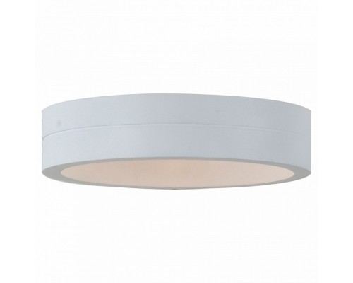 Накладной светильник ST-Luce SL562