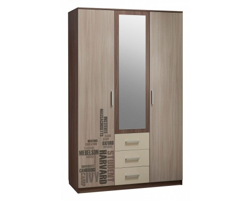 Шкаф платяной Колледж MKK-008