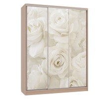 Шкаф-купе Бассо 7-600 розы