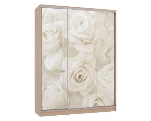 Шкаф-купе Бассо 7-600 розы