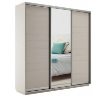 Шкаф-купе Экспресс Медиум