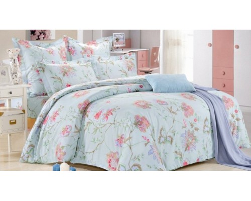 Постельное белье евростандарт CL-220