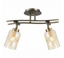 Спот Citilux Мерида 