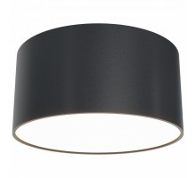 Накладной светильник Maytoni Zon C032CL-L12B3K