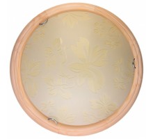 Накладной светильник TopLight Jane TL9640Y-00PN