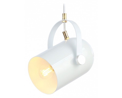 Подвесной светильник Ambrella Light TR TR8205