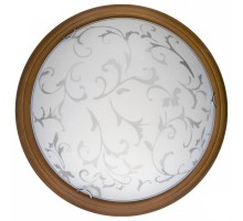 Накладной светильник TopLight Daniela TL9530Y-00OA