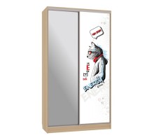 Шкаф-купе Рио 9-600 Энерджи