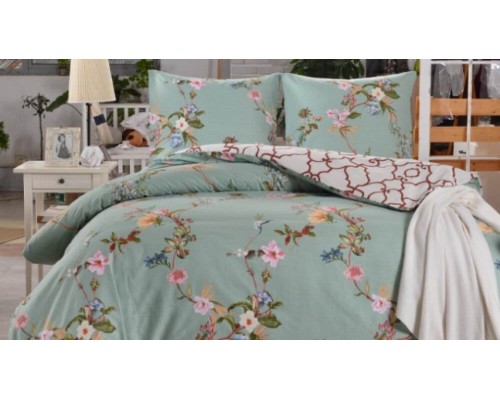 Постельное белье евростандарт CL-315