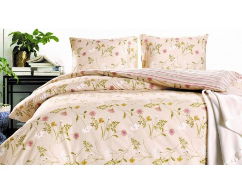 Постельное белье евростандарт CL-300