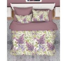 Постельное белье евростандарт Вальтери RS