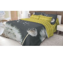 Постельное белье евростандарт Dandelion