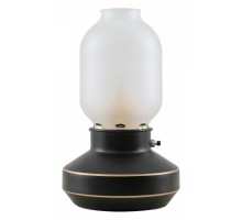 Настольная лампа декоративная Lussole Anchorage 