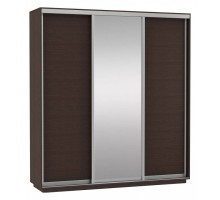Шкаф-купе Экспресс Медиум (1 зеркало) Трио 2100x600x2200