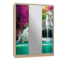 Шкаф-купе Бассо 10-600 49