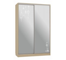 Шкаф-купе Гранд 4-600 птицы