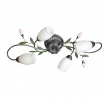 Потолочная люстра MW-Light Верона 11 334013504