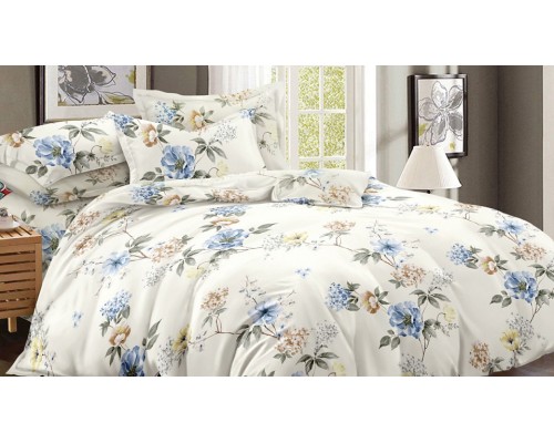 Постельное белье семейное Art Color 042-AC