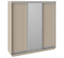 Шкаф-купе Румер