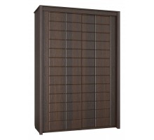 Шкаф-купе Изабель ИЗ-06