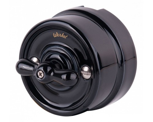 Выключатель на 4 положения двухклавишный без рамки Werkel  WL18-01-05