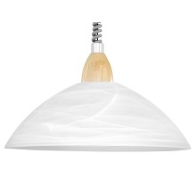 Подвесной светильник Eglo ПРОМО Lord 2 87009