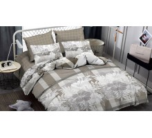 Постельное белье евростандарт Gold Megan