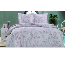 Постельное белье евростандарт CL-230