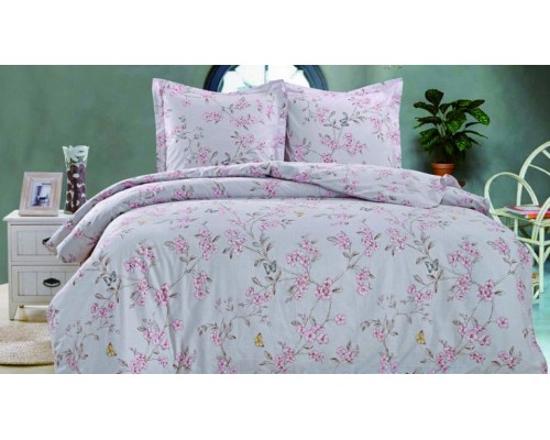 Постельное белье евростандарт CL-230