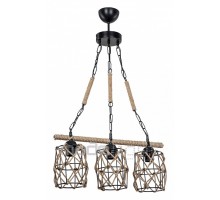 Подвесной светильник TopLight Caryl TL1647L-03BK