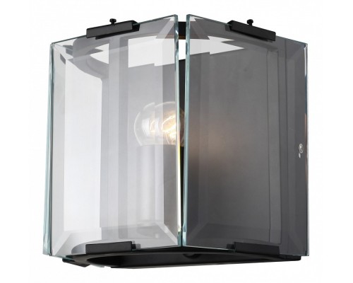 Накладной светильник ST-Luce Peltro