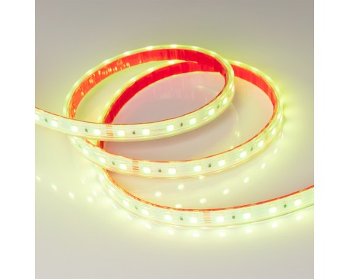 Лента светодиодная [5 м] Arlight  021400(2)