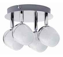 Спот Paulmann Theta 60292